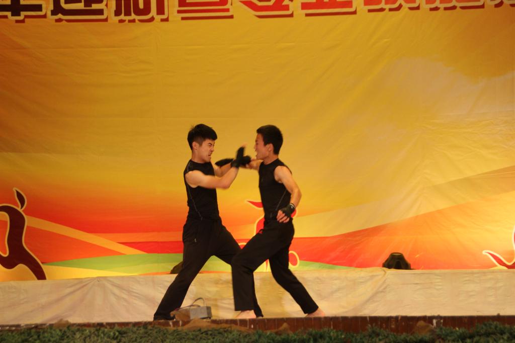 散打表演