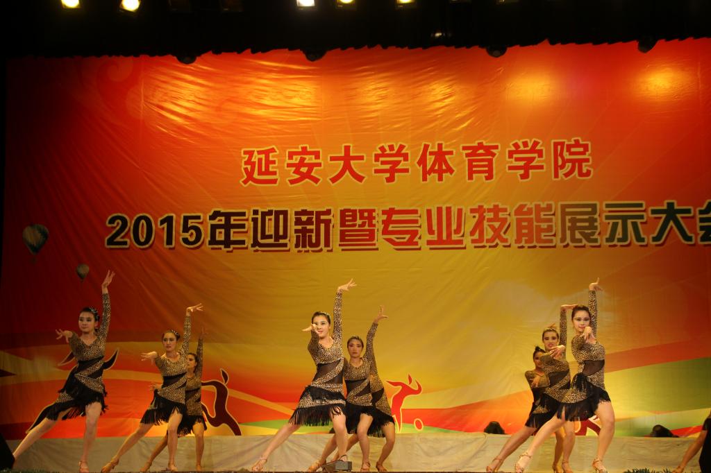 体育舞蹈表演